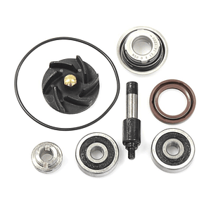 Kit de Reparação Bomba de Água Aprilia/Gilera/Piaggio 300