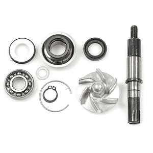 Kit de Reparação Bomba de Água Daelim S3 125 10-18