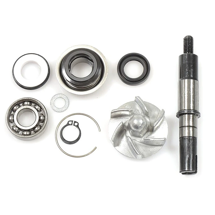 Kit de Reparação Bomba de Água Daelim S3 125 10-18 1