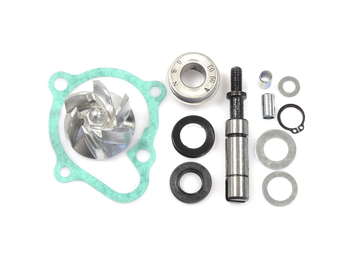Kit de Reparação Bomba de Água Superdink 200/300 1