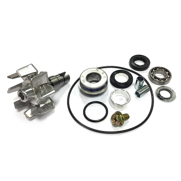 Kit de Reparação Bomba de Água Xciting 400 13-15 1