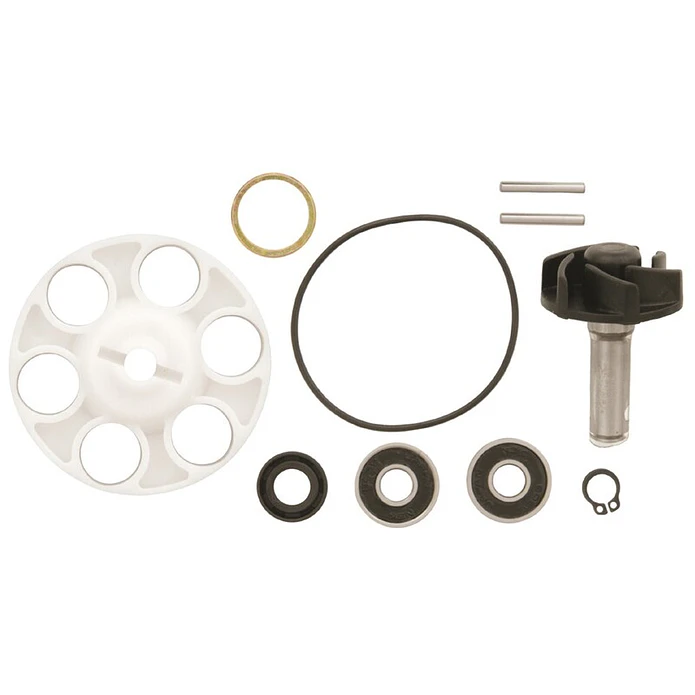 Kit Reparação Bomba de Água Minarelli Horizontal 1