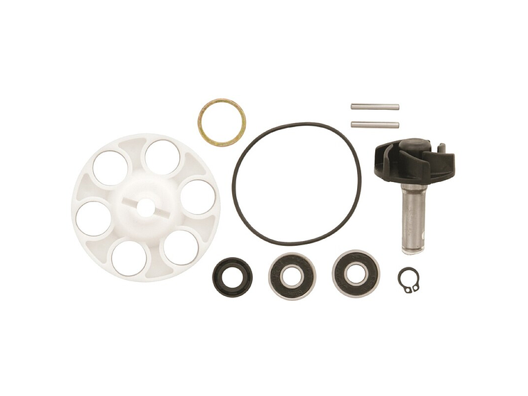 Kit Reparação Bomba de Água Minarelli Horizontal 1