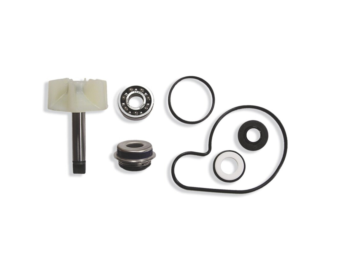 Kit Reparação Bomba de Água Suzuki Burgman 125/250 1