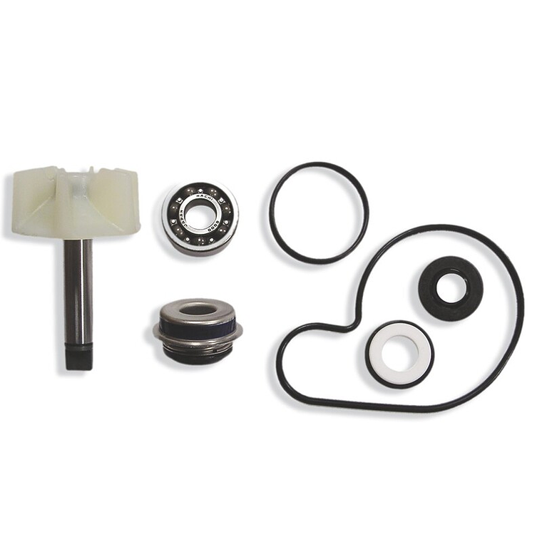 Kit Reparação Bomba de Água Suzuki Burgman 125/250 1
