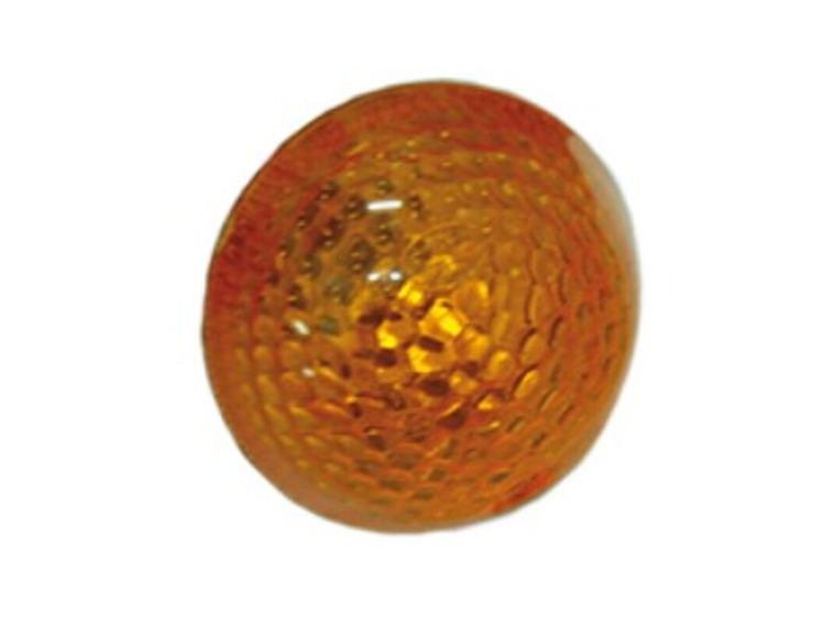 Vidro Pisca Dianteiro e Traseiro 1