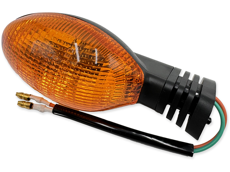 Pisca Traseiro Esq. 1