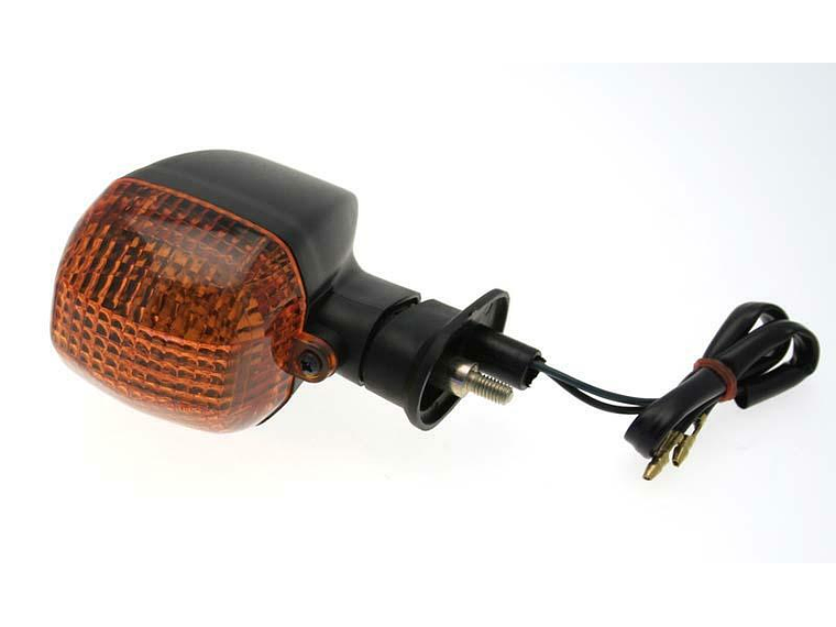 Pisca Traseiro Dto. 1