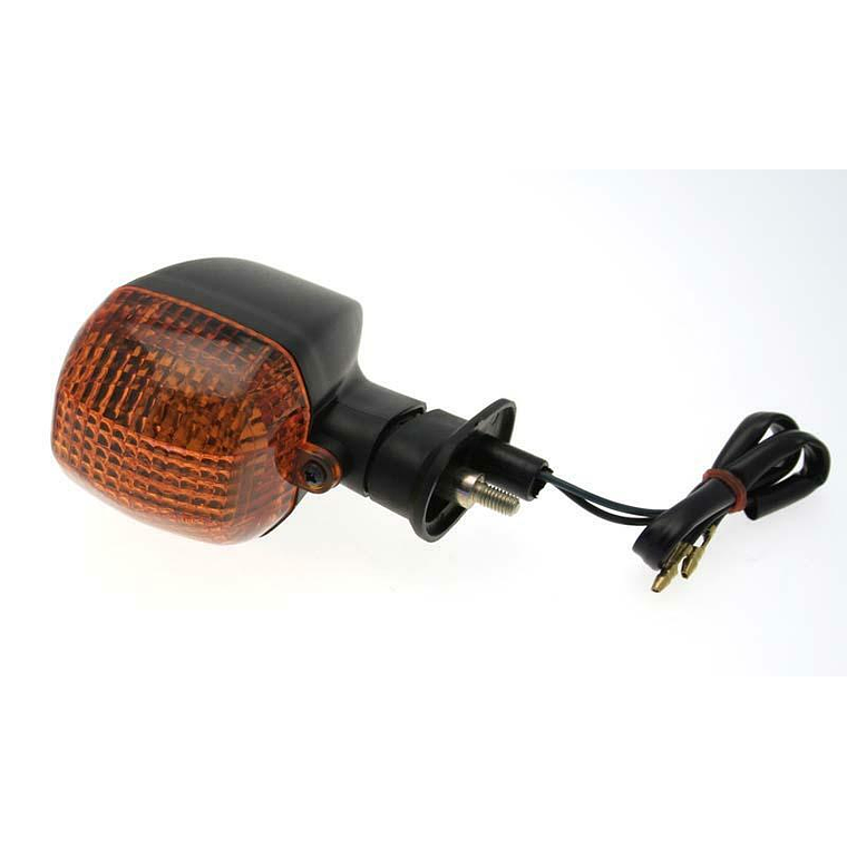 Pisca Traseiro Dto. 1