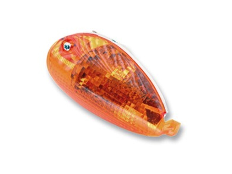 Pisca Traseiro Dto. 1