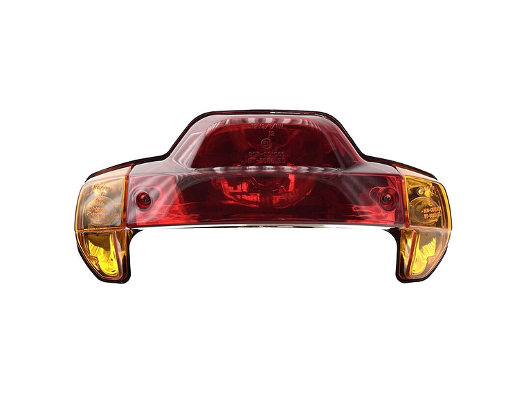 Luz Traseira com Pisca 1