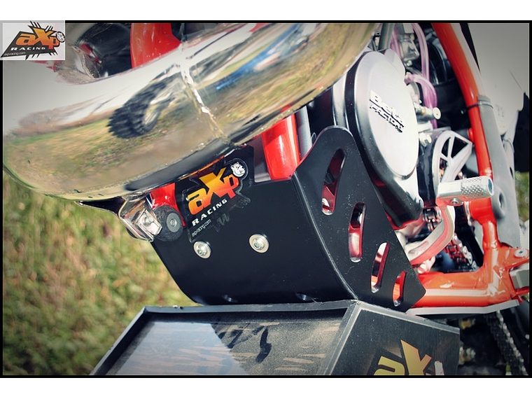 Protetor de Cárter AXP Enduro Phd 2T Beta AX1310 1