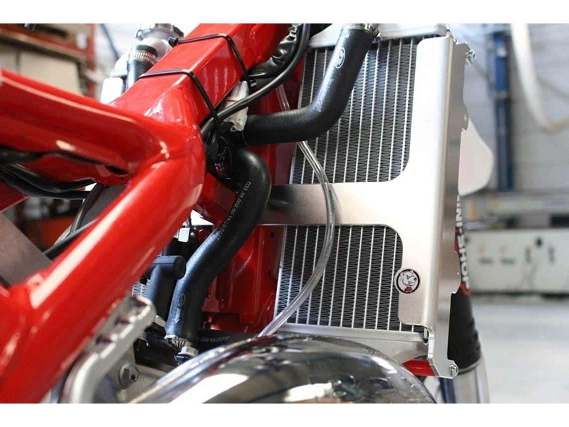 Proteção de Radiador AXP, Alumínio, Vermelha, Beta RR125 1