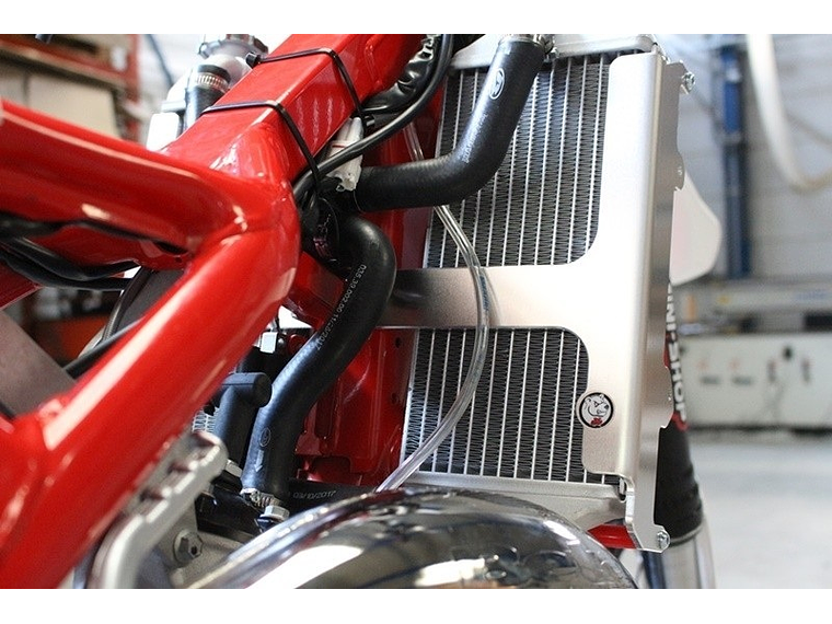 Proteção de Radiador AXP, Alumínio, Vermelha, Beta RR125 1