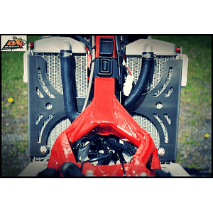 Protetores de Radiador Alumínio Vermelha AXP Beta AX1314