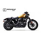 Ponteira de Escape IXIL Harley-Davidson Sportster XL 1200 HD1008SB - vignette 1