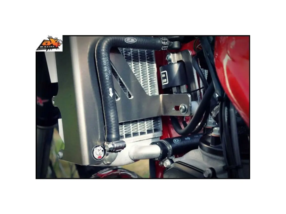 Protetores de Radiador Alumínio Vermelha AXP Beta 250RR / 300RR 2014-2017 3