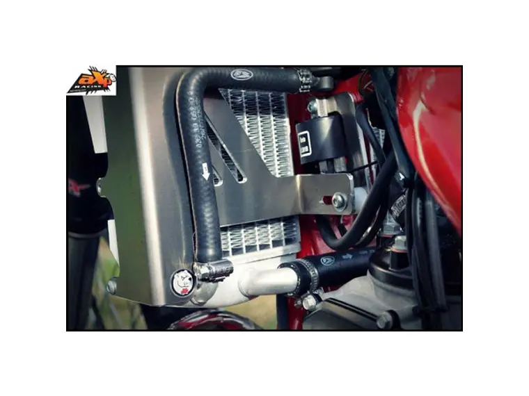 Protetores de Radiador Alumínio Vermelha AXP Beta 250RR / 300RR 2014-2017 3