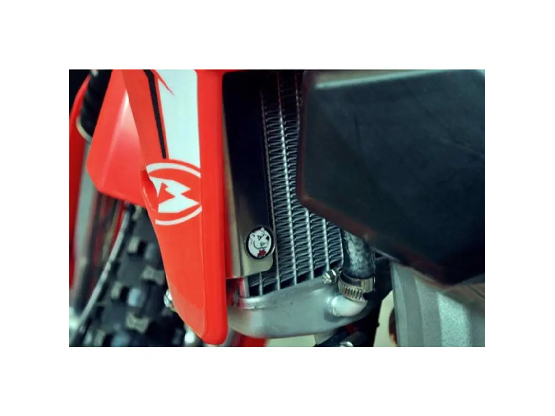 Protetores de Radiador Alumínio Vermelha AXP Beta 350RR / 390RR / 430RR / 480RR 2015-2019 4