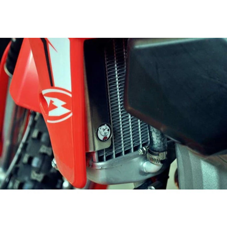 Protetores de Radiador Alumínio Vermelha AXP Beta 350RR / 390RR / 430RR / 480RR 2015-2019 4