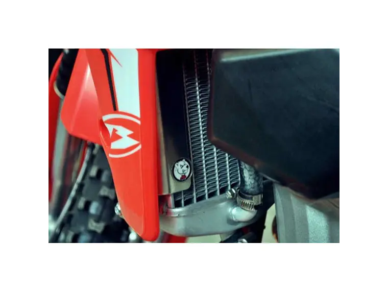 Protetores de Radiador Alumínio Vermelha AXP Beta 350RR / 390RR / 430RR / 480RR 2015-2019 4