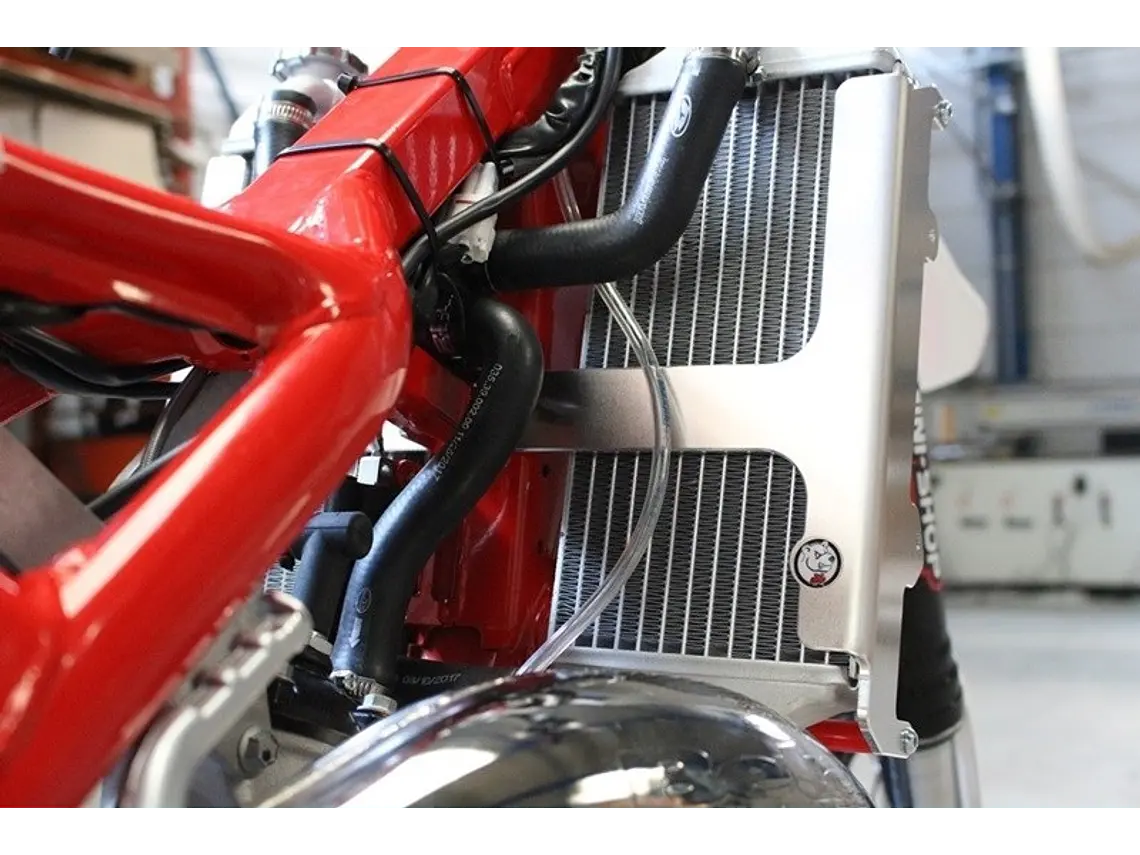 Proteção de Radiador Axp, Alumínio, Vermelha Beta 125RR / 200RR 2018-2019 1