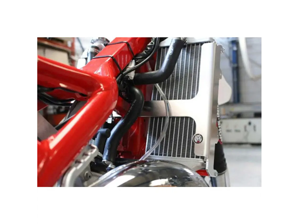 Proteção de Radiador Axp, Alumínio, Vermelha Beta 125RR / 200RR 2018-2019 3