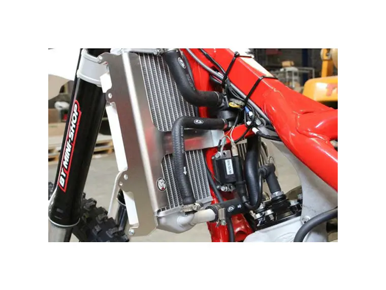 Proteção de Radiador Axp, Alumínio, Vermelha Beta 125RR / 200RR 2018-2019 5