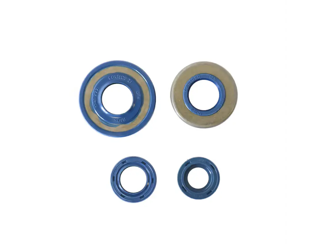 Kit Vedantes Motor P4R/ P5R/ P6R/ RV6 Premium Athena  1
