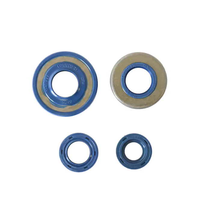 Kit Vedantes Motor P4R/ P5R/ P6R/ RV6 Premium Athena  1