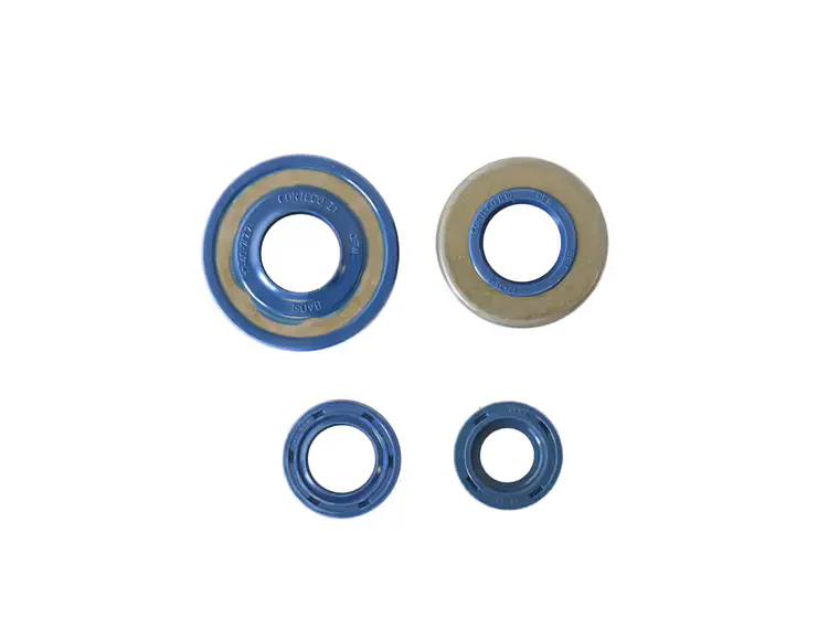 Kit Vedantes Motor P4R/ P5R/ P6R/ RV6 Premium Athena  1