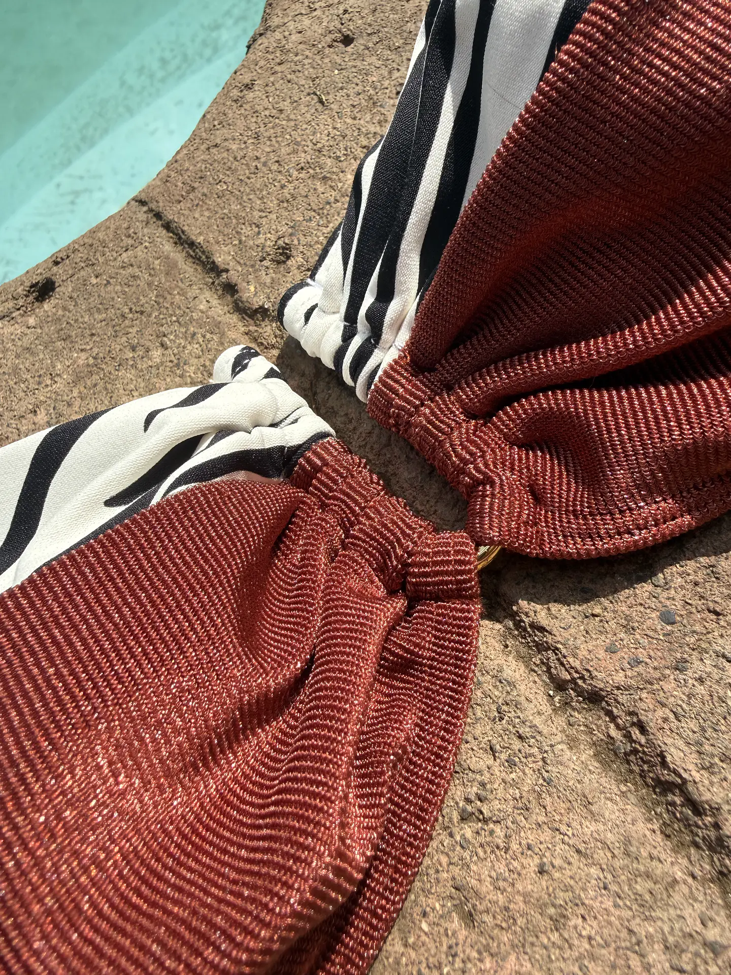 Bikini Liz Zebra 3
