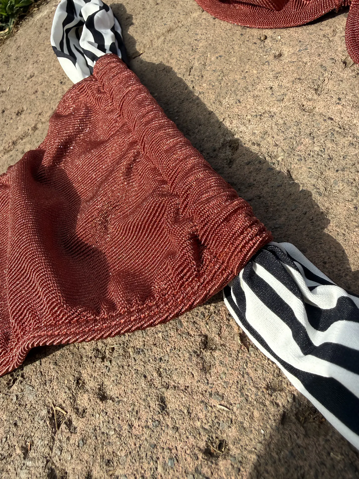 Bikini Liz Zebra 5
