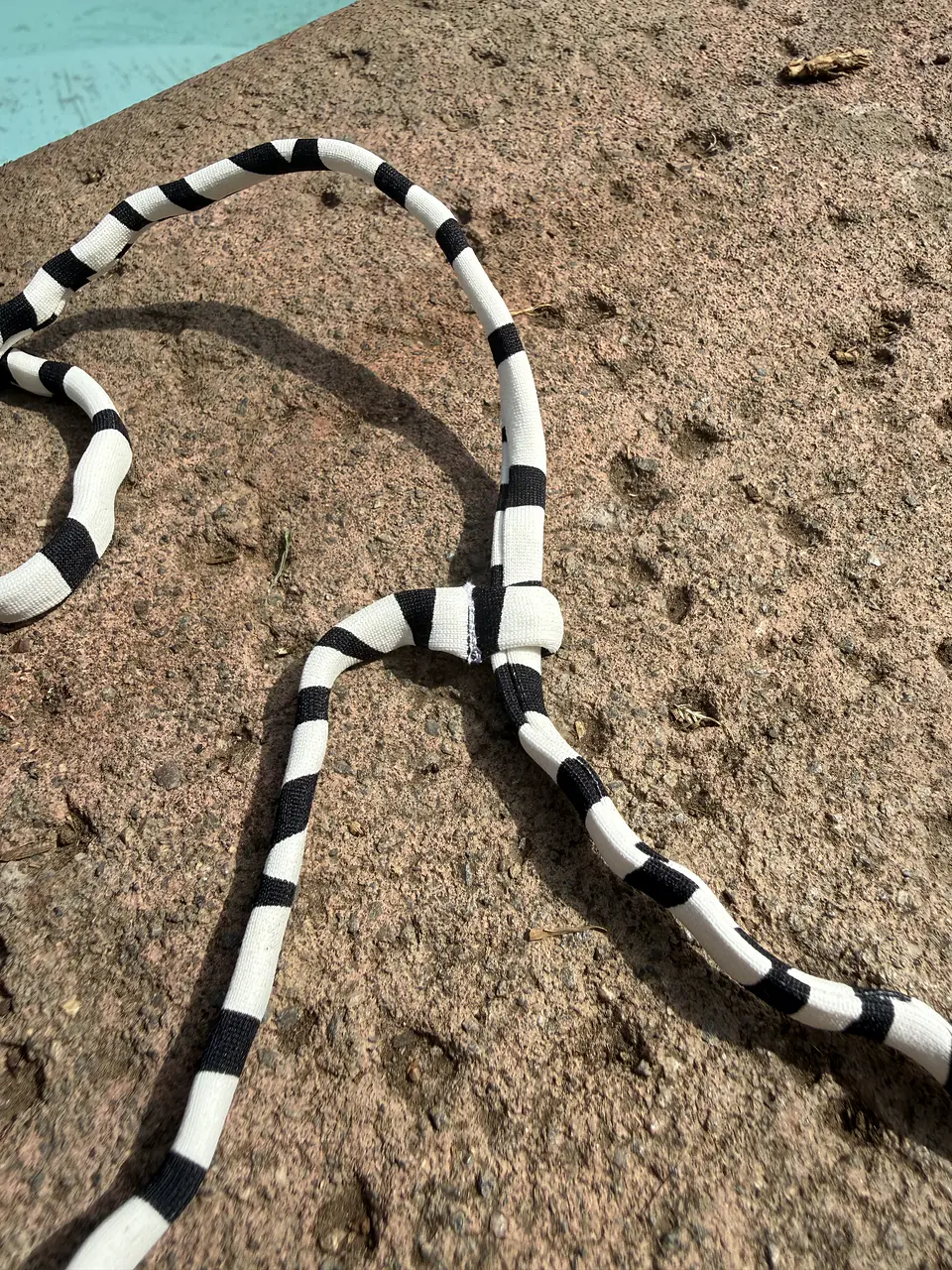 Bikini Luma Zebra 3