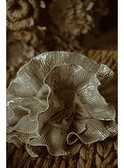 maxicoleta beige dorada 