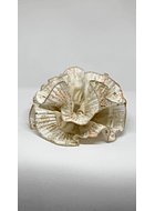 Maxicoleta beige flores