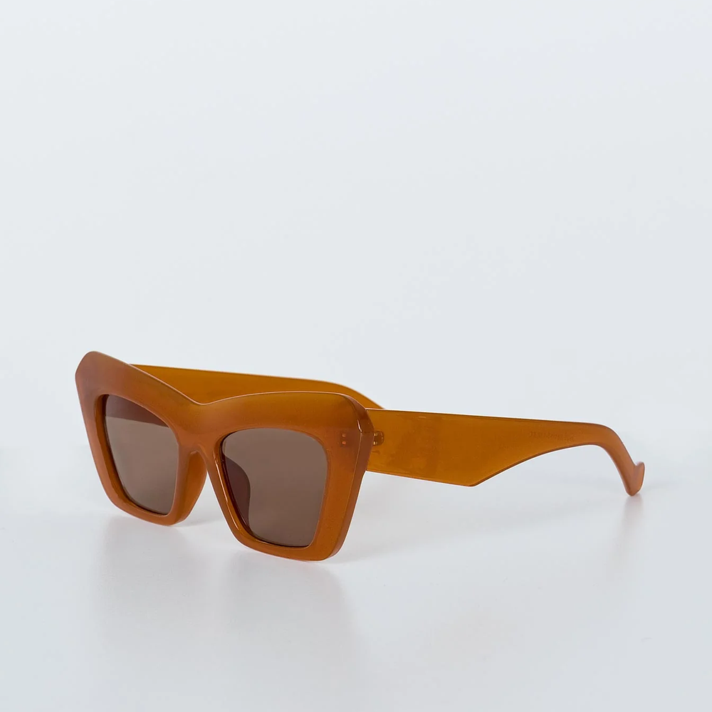 Sunglasses Brown Style