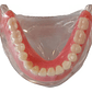 Modelo Sobre Dentadura Implantes Novedad Enseñanza Santiago - Miniatura 5