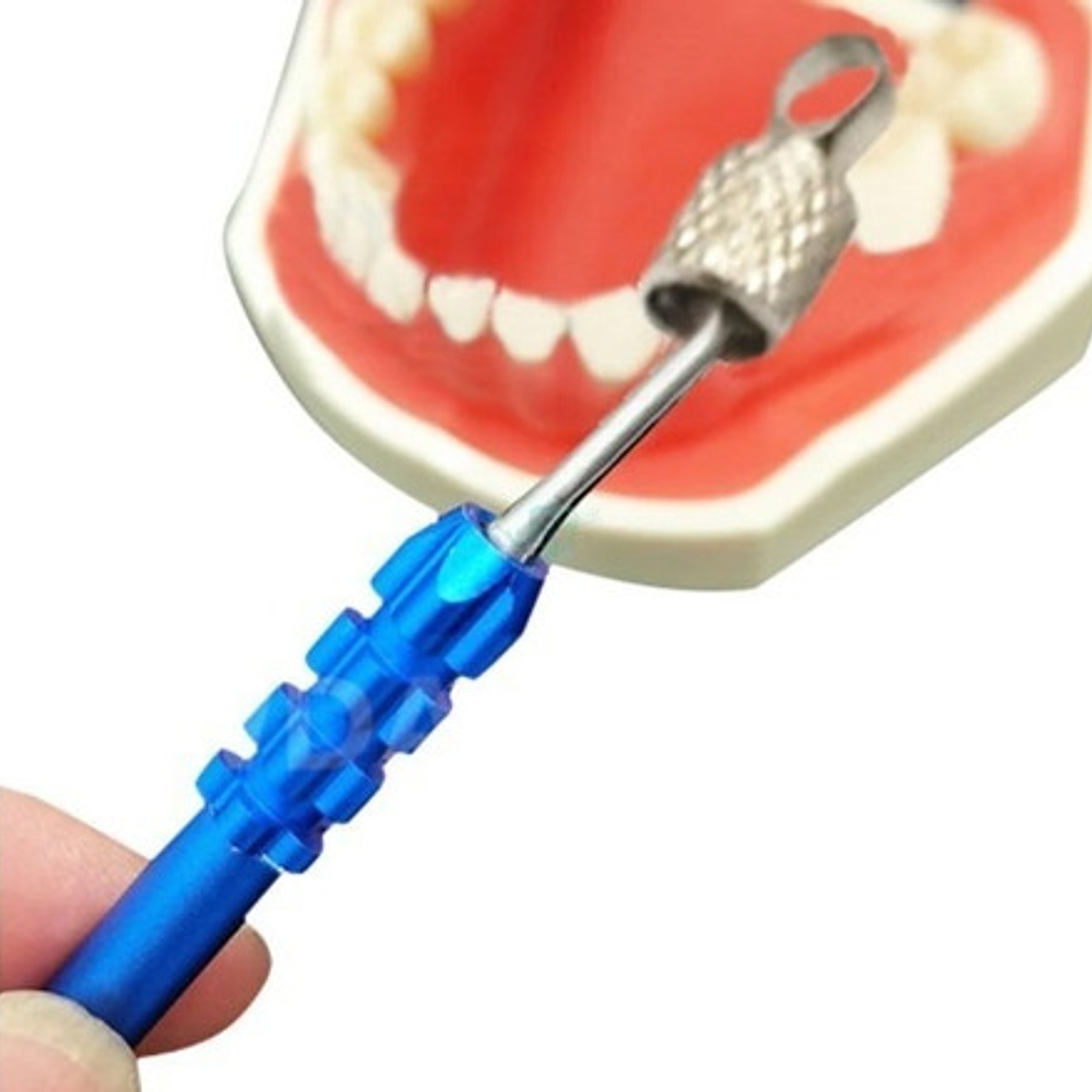Porta Limas Endodoncia Soporte Metálico Autoclavable Stgo. 2