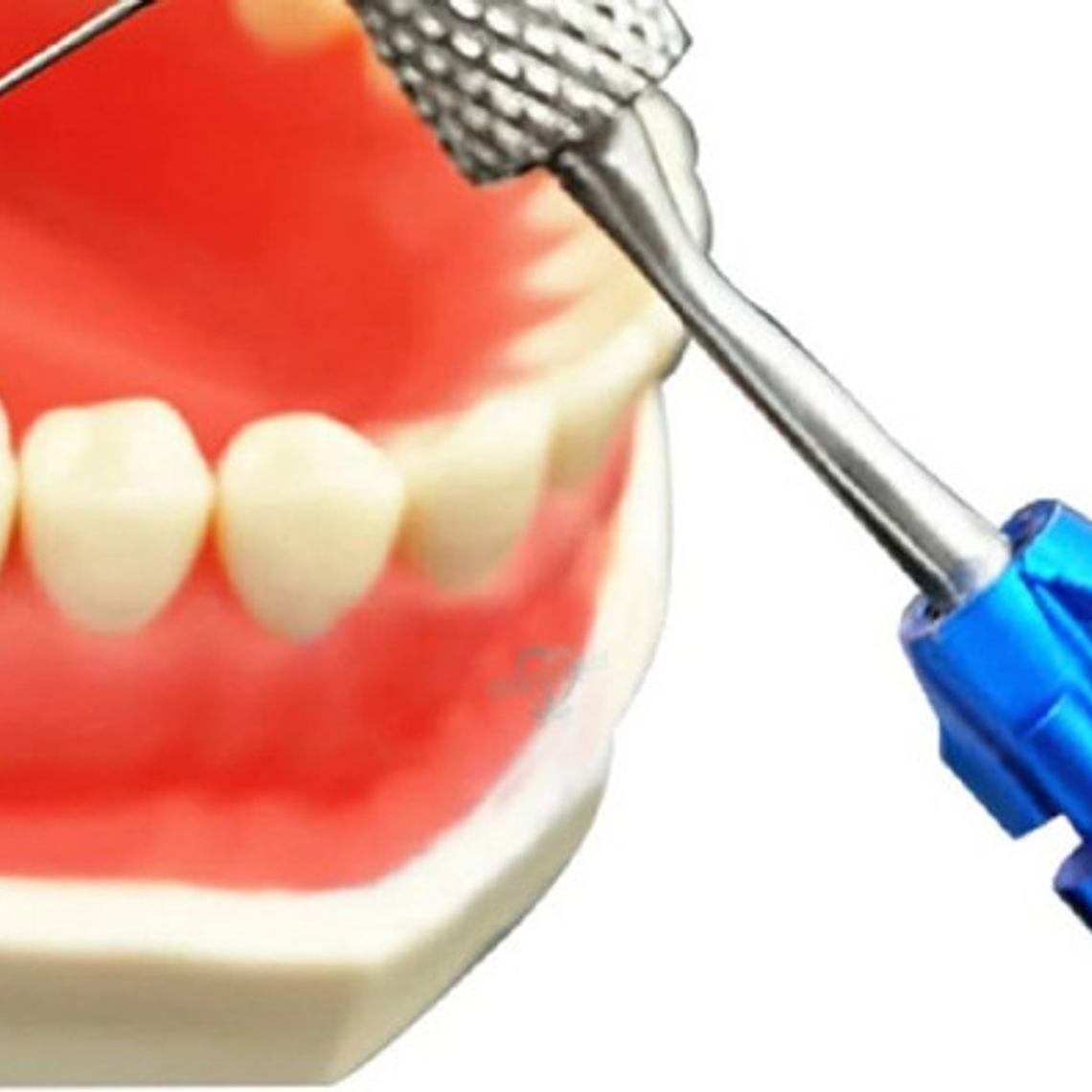 Porta Limas Endodoncia Soporte Metálico Autoclavable Stgo. 4