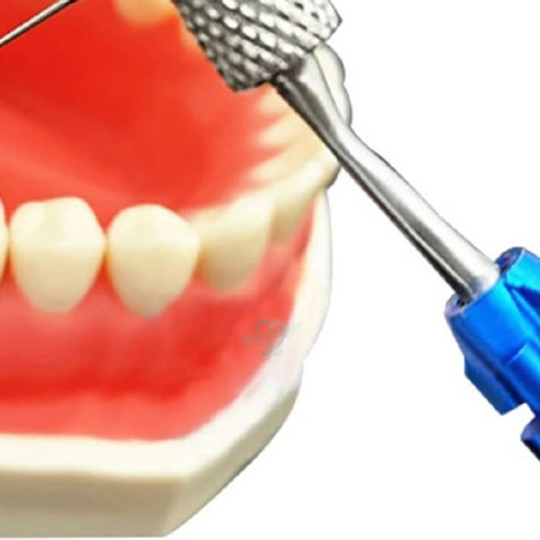 Porta Limas Endodoncia Soporte Metálico Autoclavable Stgo. 4