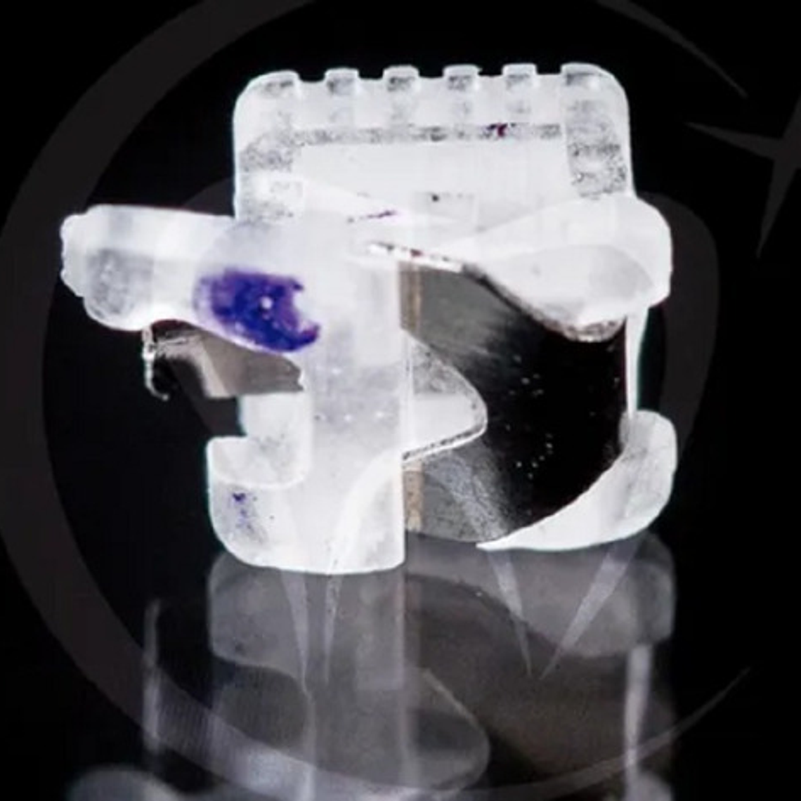 Brackets Estéticos Autoligables Ormaer Roth Calidad Santiago 3