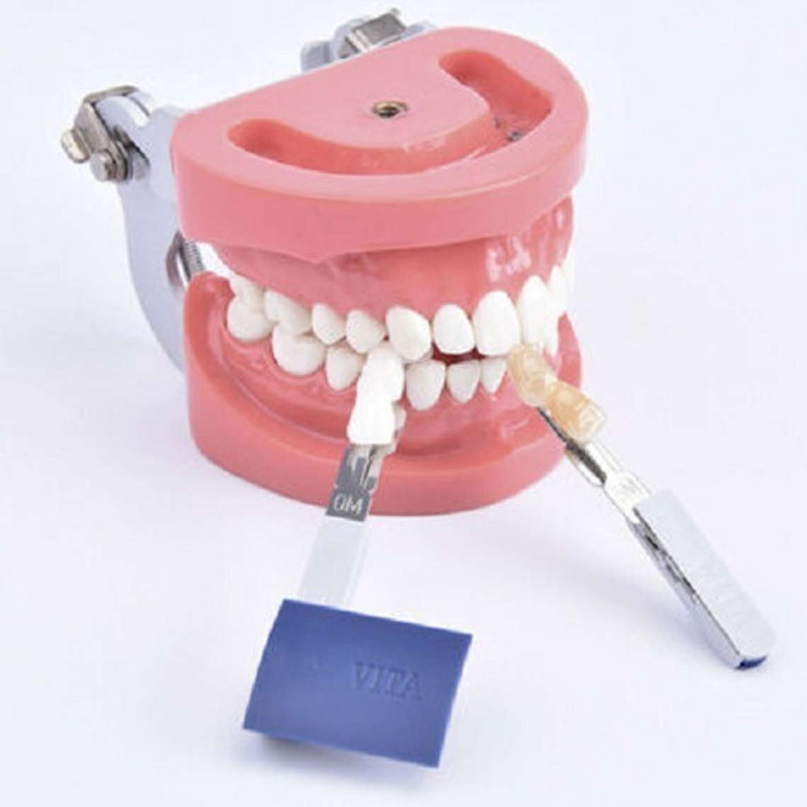 Muestrario De Colores 3d Master Vita Alternativo Santiago 6