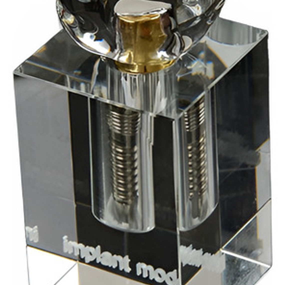 Modelo Dental Implante Unitario Enseñanza Y Estudio Calidad 1