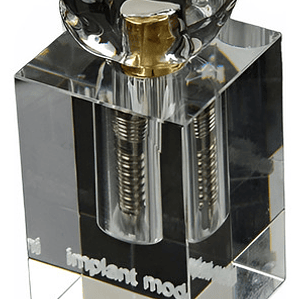 Modelo Dental Implante Unitario Enseñanza Y Estudio Calidad