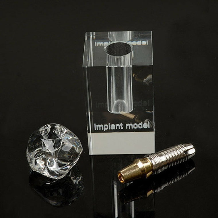 Modelo Dental Implante Unitario Enseñanza Y Estudio Calidad 4