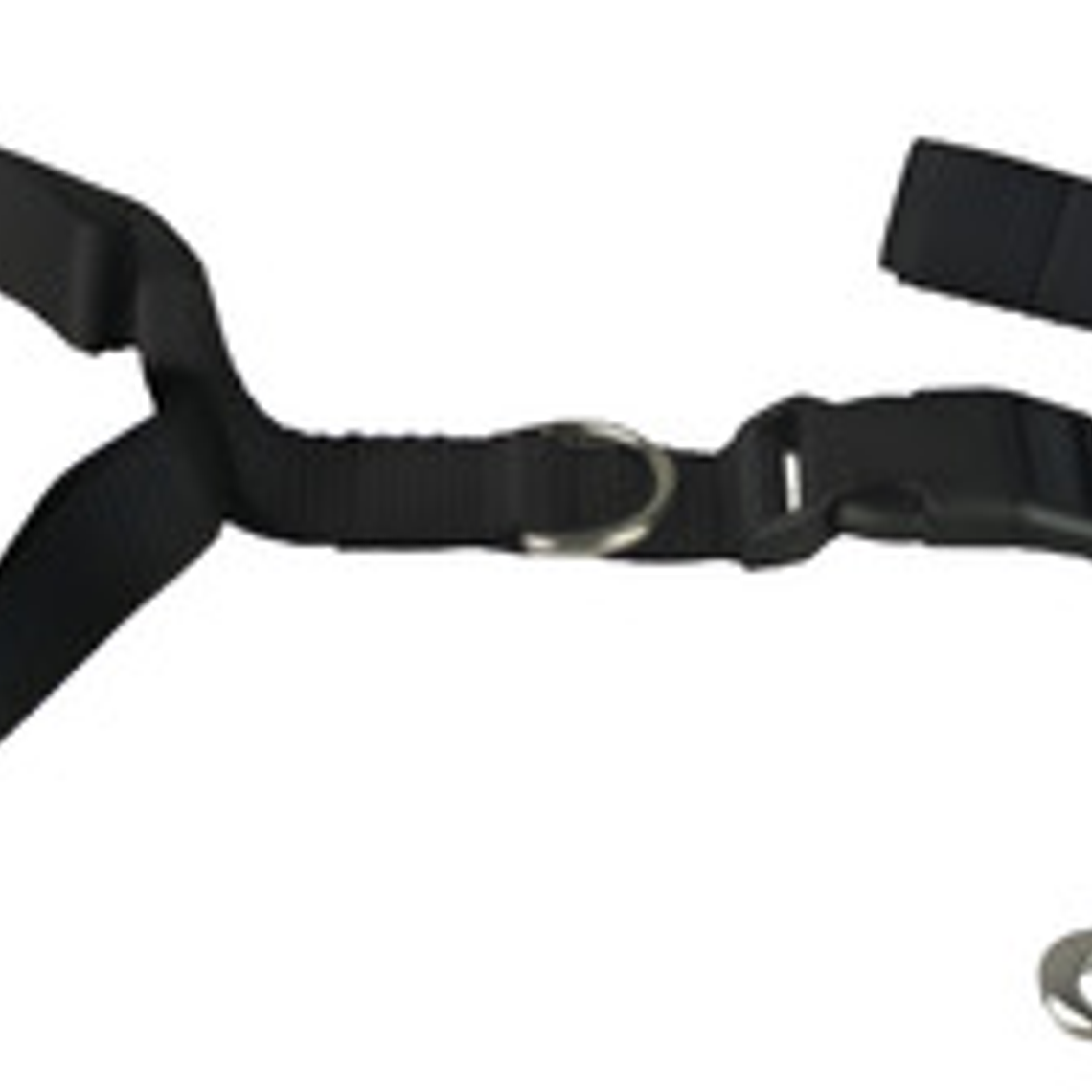 Cinturón Correa Para Correr Con Tu Perro Running Santiago 1