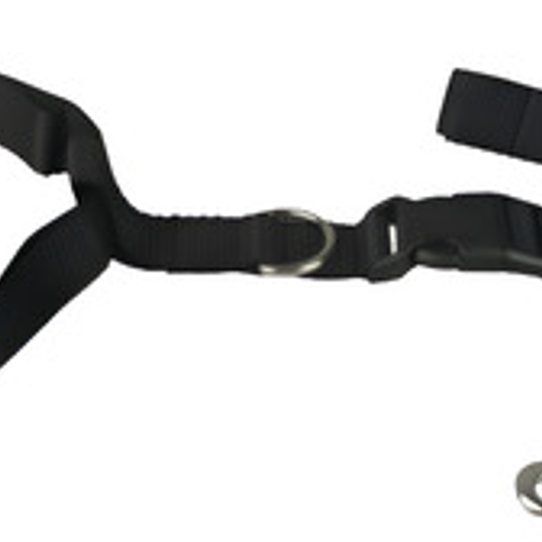 Cinturón Correa Para Correr Con Tu Perro Running Santiago 1