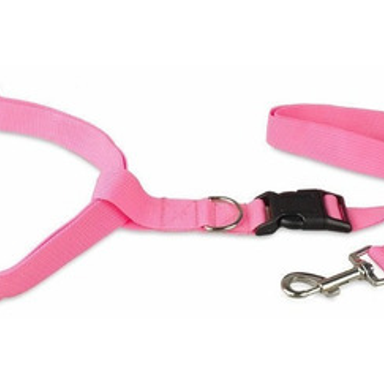 Cinturón Correa Para Correr Con Tu Perro Running Santiago 9