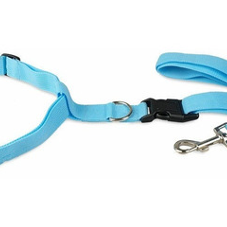 Cinturón Correa Para Correr Con Tu Perro Running Santiago 17